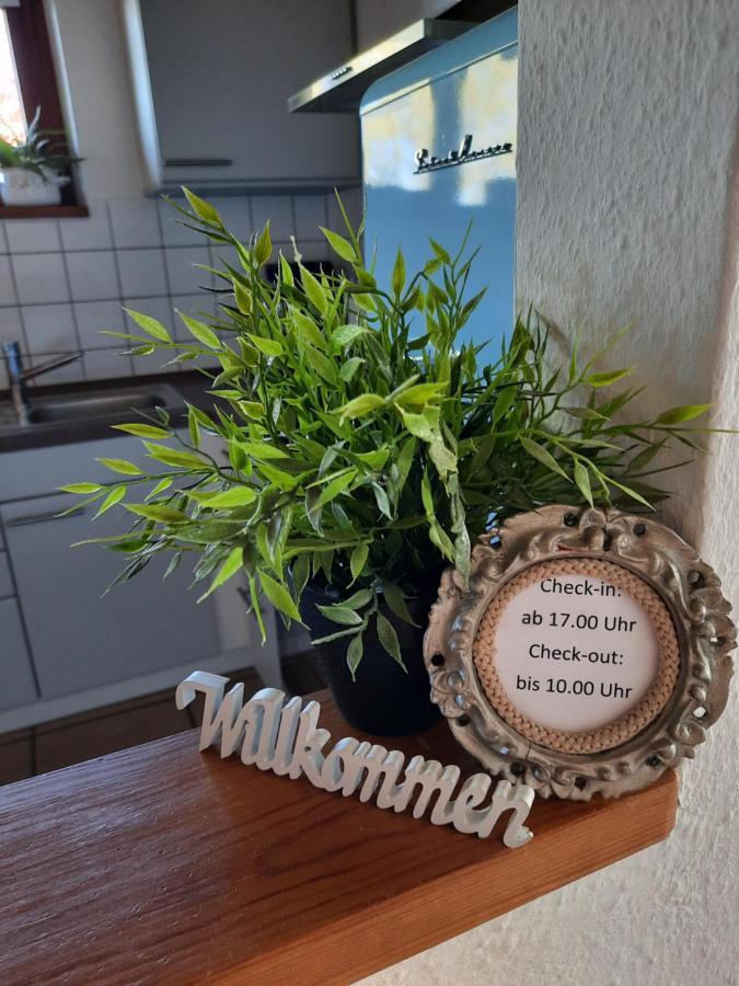 Schoene Einzimmer Wohnung Zwischen Bodensee Und Allgaeu ノイキルヒ エクステリア 写真
