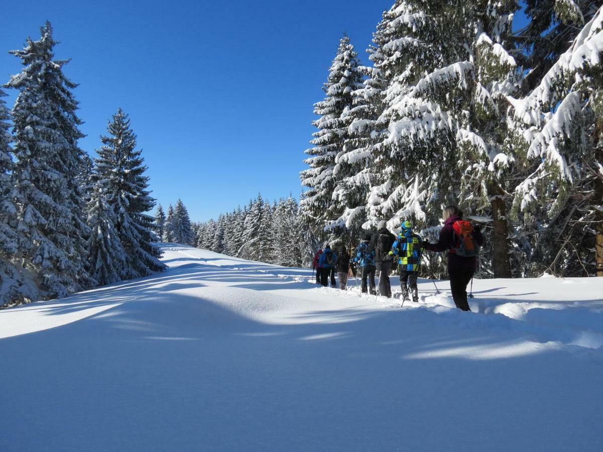 Schoene Einzimmer Wohnung Zwischen Bodensee Und Allgaeu ノイキルヒ エクステリア 写真